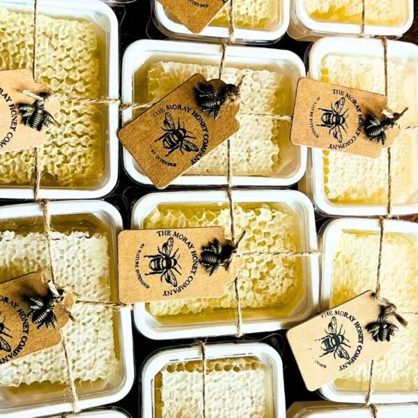 Honey Comb Package - Spring/Summer - Image 2